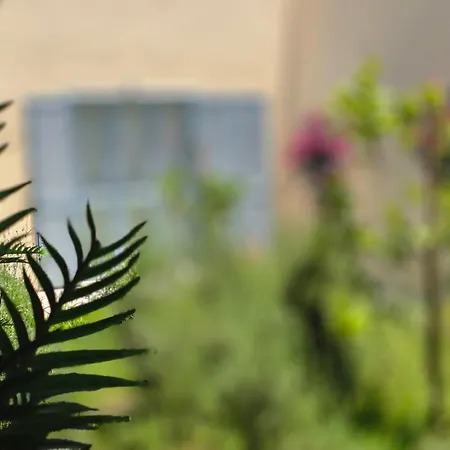 Centr Apartment